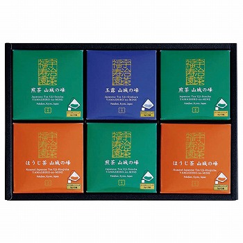 s  R̕eB[obOl (YTB-300)